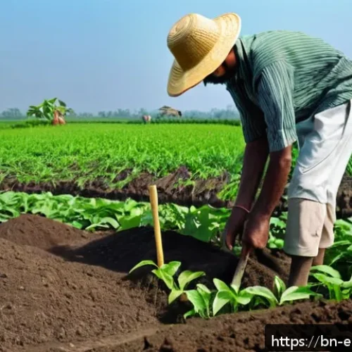 환경보호 실습에서 배우는 현장 기술 - A detailed scene of a Bengali farmer&rsquo;s field showing soil testing in progress: the farmer, wearing t...